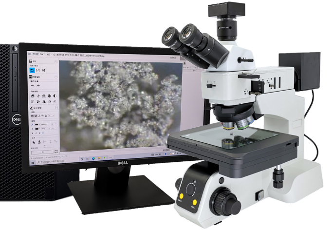 PJ40-BD材料分析显微镜下观测的枝晶动态演变
